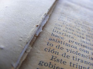 biblioteca 190 copy.jpg